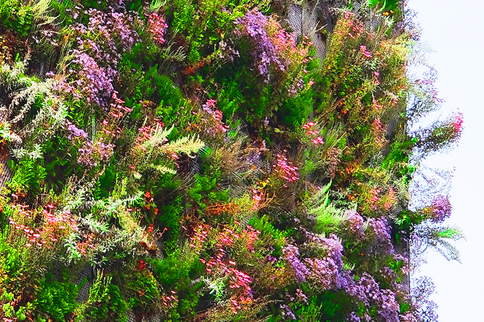 Gröna fasader av Butong tillverkade av hållbara betongpaneler