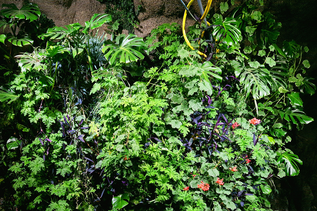 Roslagstull ÅVC en grön inomhusvägg levererad av Butong Stockholm