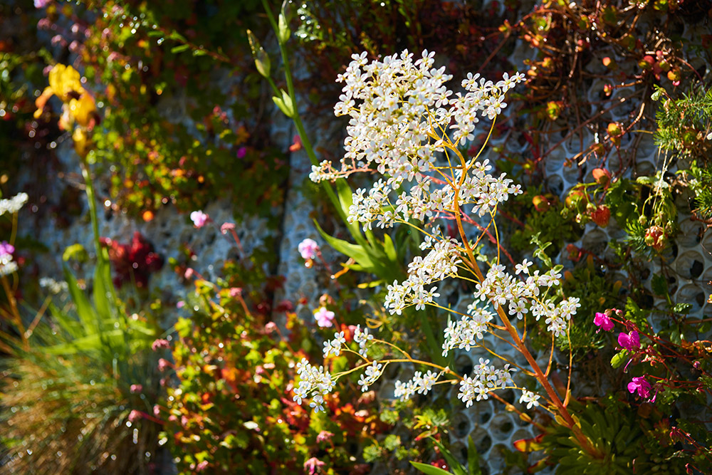 Gröna fasader av Butong tillverkade av hållbara betongpaneler